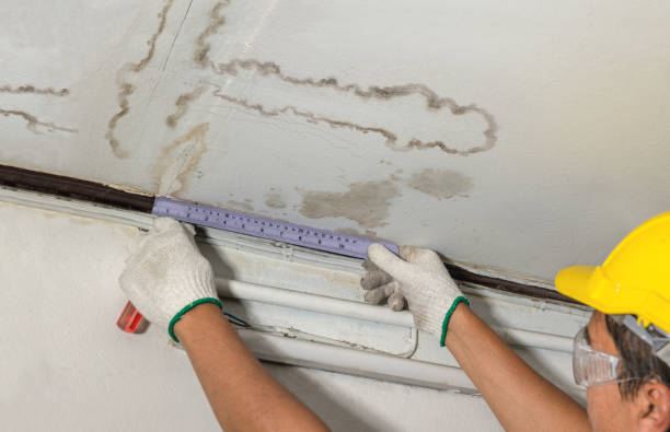 Reliable Basement Water Removal contractor in Wimbledon, ND by Water Damage Irwin